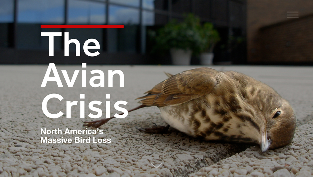 The Avian Crisis Home screen 1.