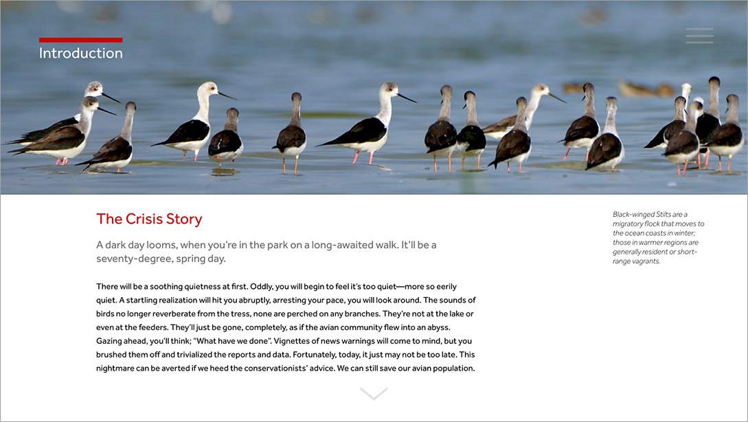 The Avian Crisis Intro story 1.